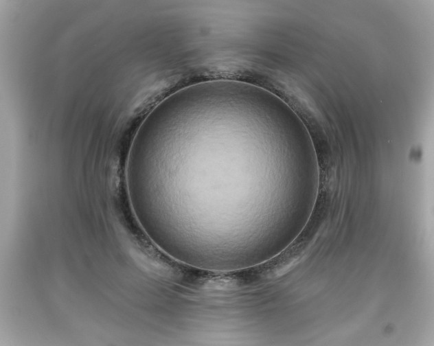 X0000091950599200709131205