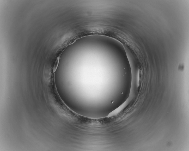 X0000091950600200709131205