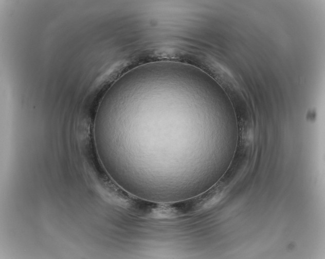 X0000091950603200709131205