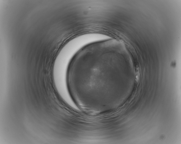 X0000091950604200709131205