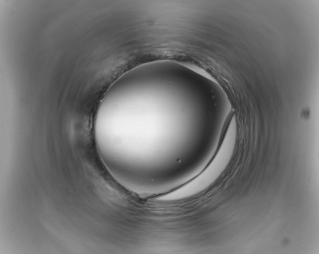 X0000091950605200709131205