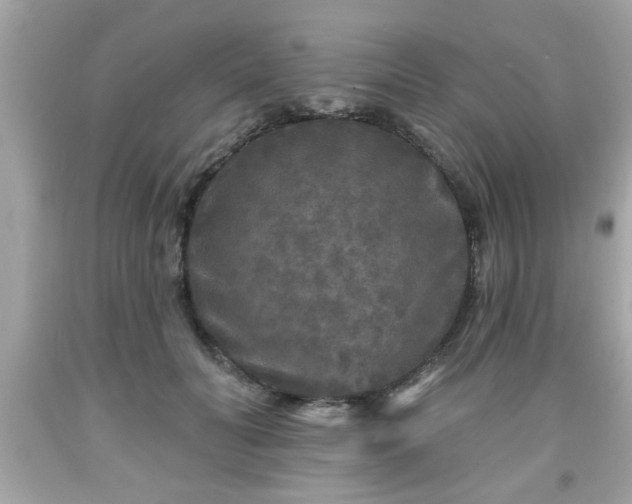 X0000091950606200709131205