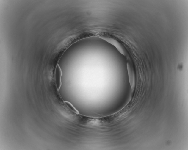 X0000091950611200709131205