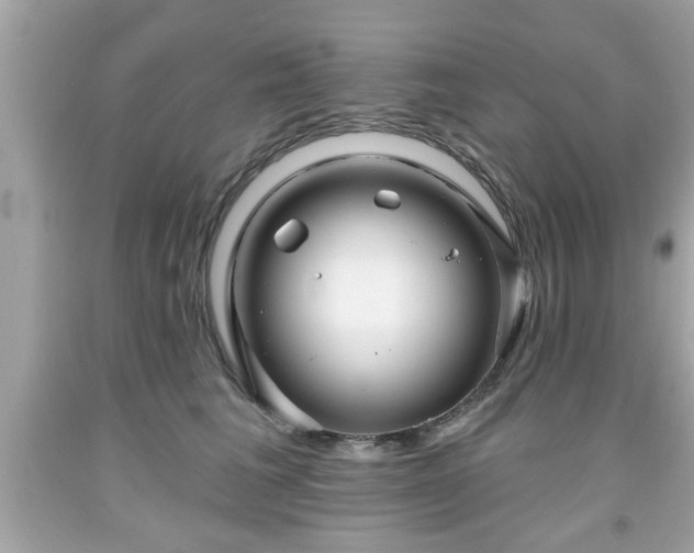 X0000091950613200709131205
