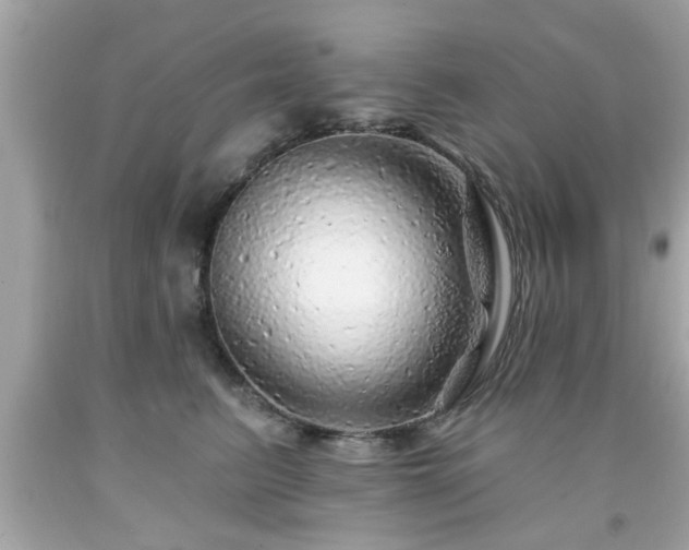 X0000091950615200709131205