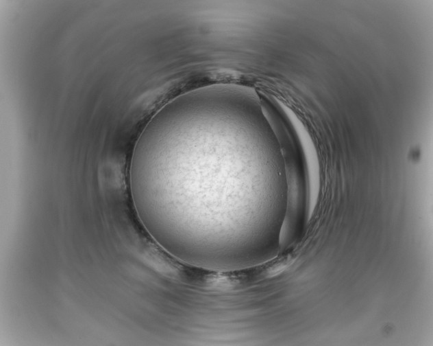 X0000091950616200709131205