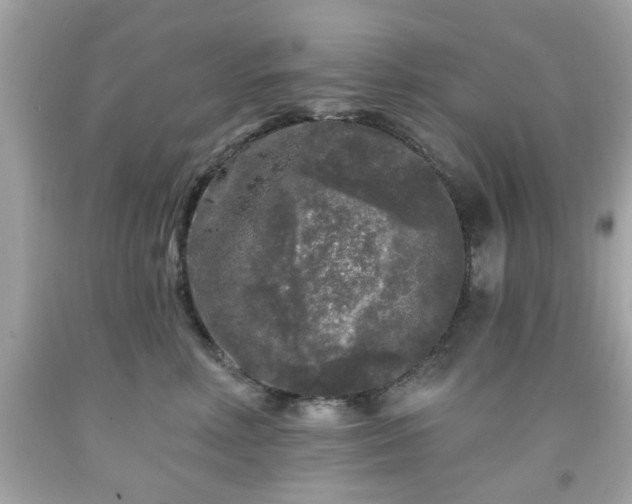X0000091950618200709131205