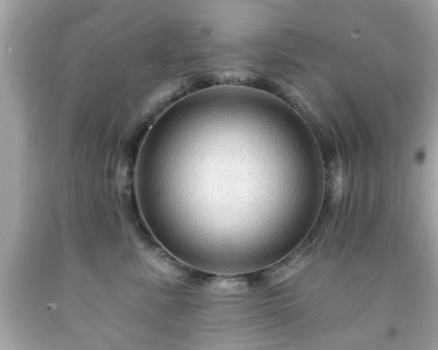 X0000091950619200709131205