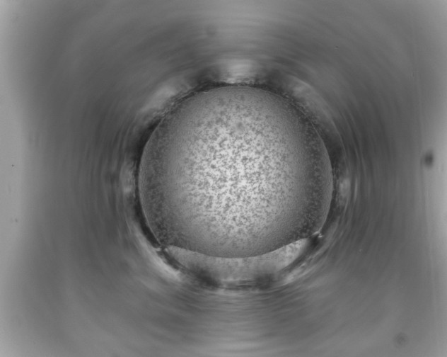 X0000091950620200709131205