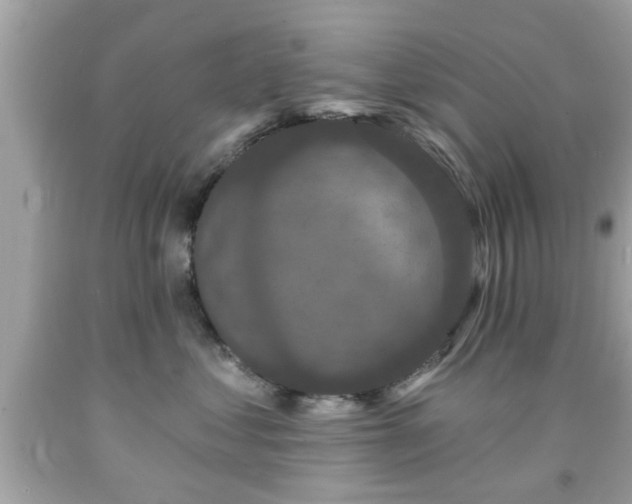 X0000091950621200709131205