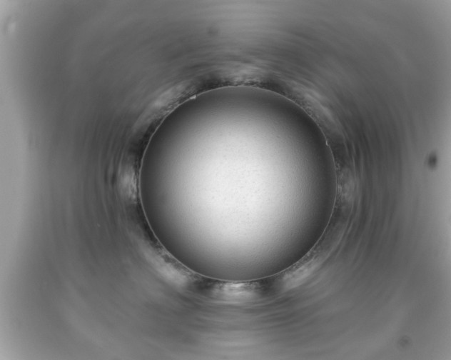 X0000091950622200709131205