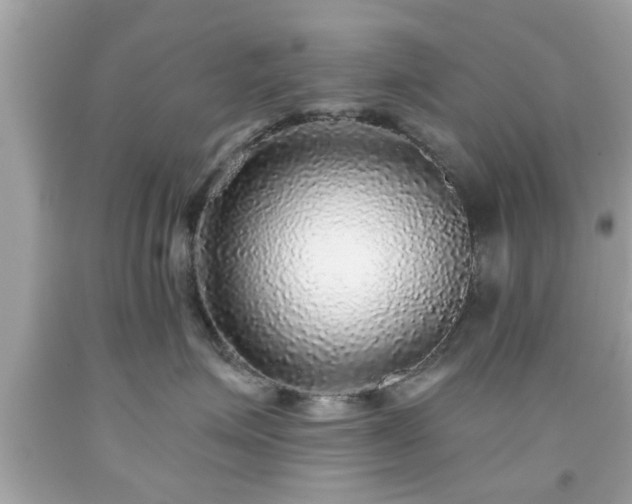 X0000091950623200709131205
