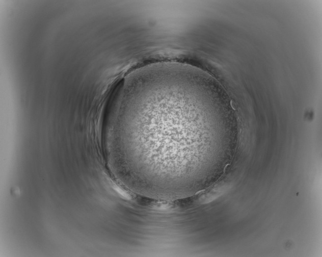 X0000091950624200709131205