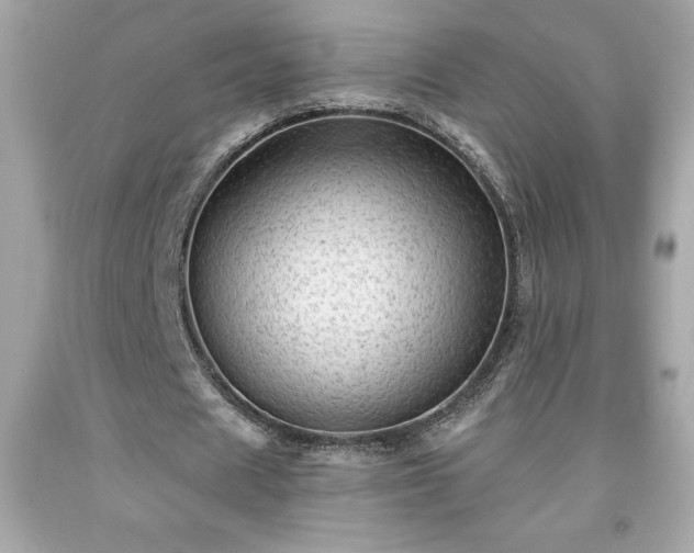 X0000091950625200709131205
