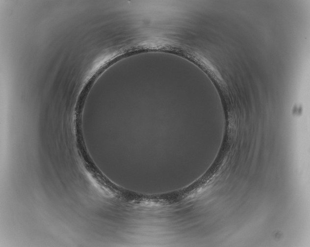 X0000091950626200709131205
