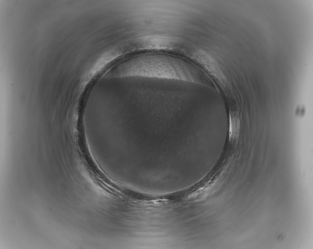 X0000091950627200709131205