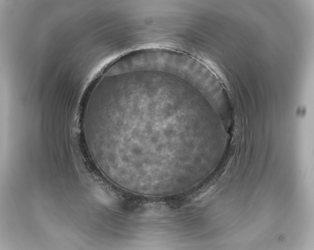 X0000091950628200709131205