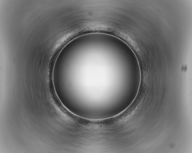 X0000091950629200709131205