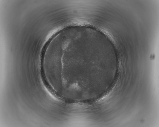 X0000091950630200709131205