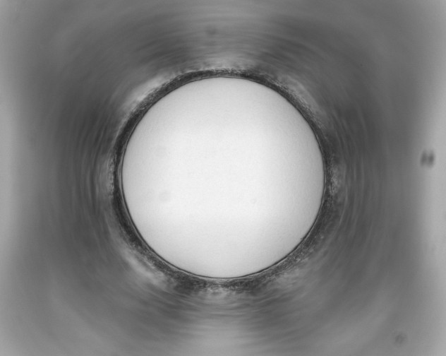 X0000091950632200709131205