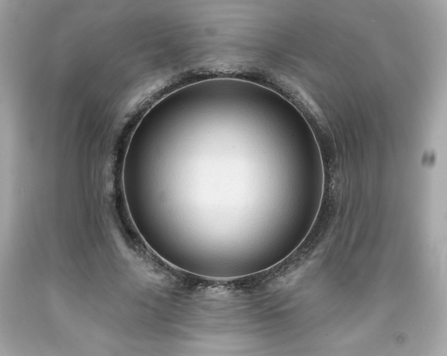 X0000091950635200709131205