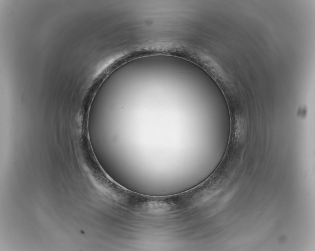 X0000091950636200709131205