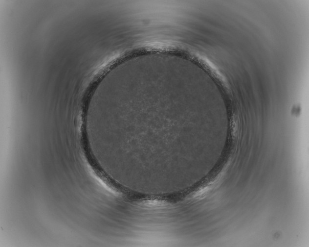 X0000091950637200709131205