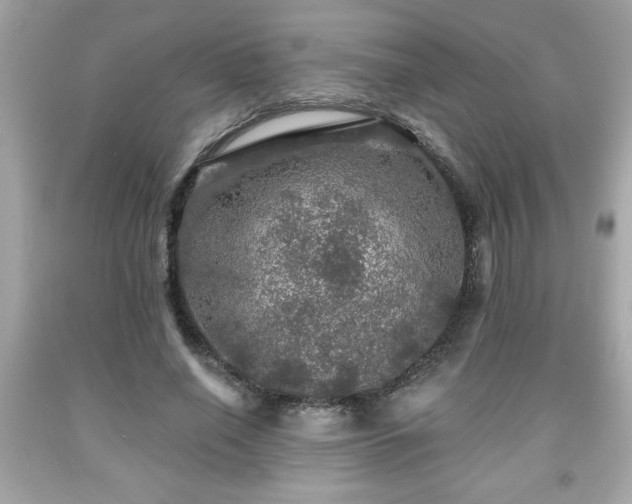 X0000091950638200709131205