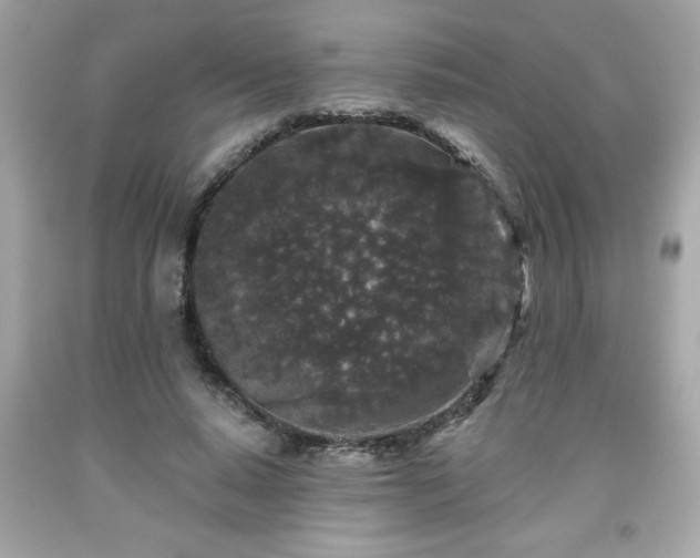 X0000091950640200709131205