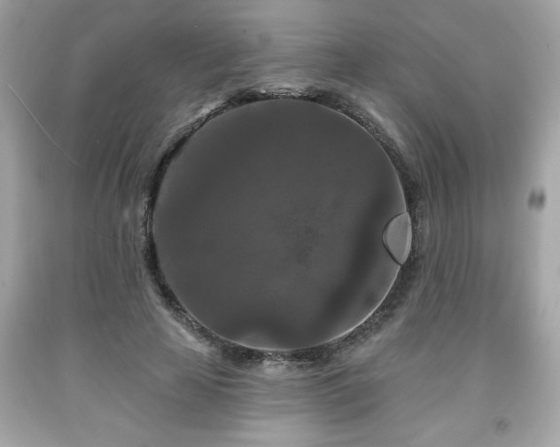 X0000091950641200709131205
