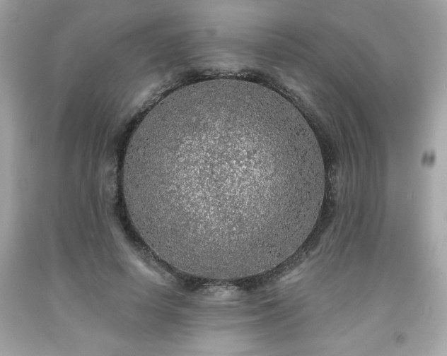X0000091950642200709131205