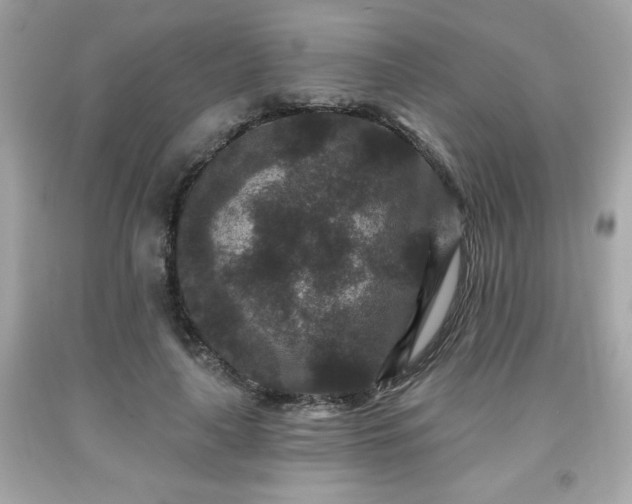 X0000091950643200709131205