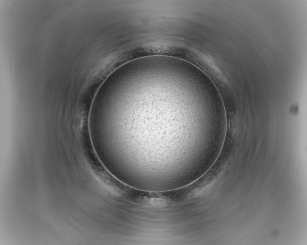 X0000091950645200709131205