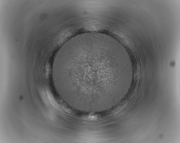 X0000091950647200709131205