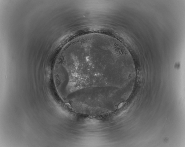 X0000091950648200709131205