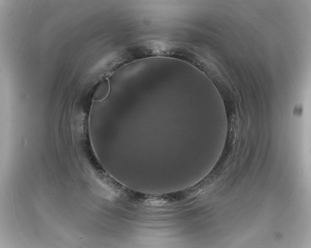 X0000091950650200709131205