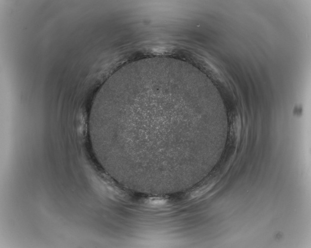 X0000091950651200709131205