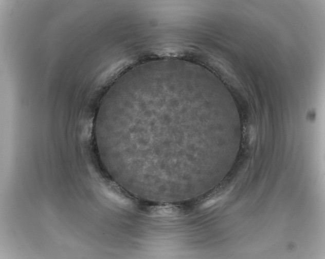 X0000091950652200709131205