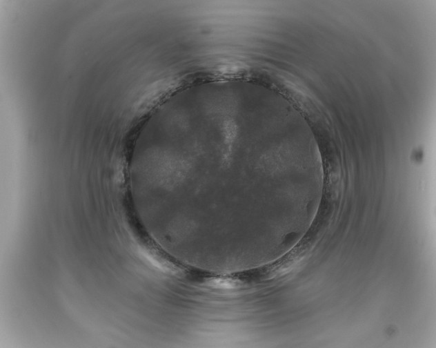X0000091950654200709131205