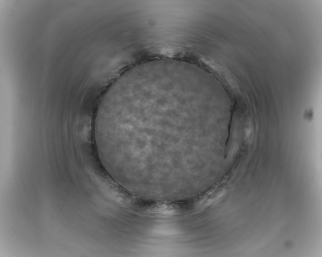 X0000091950656200709131205
