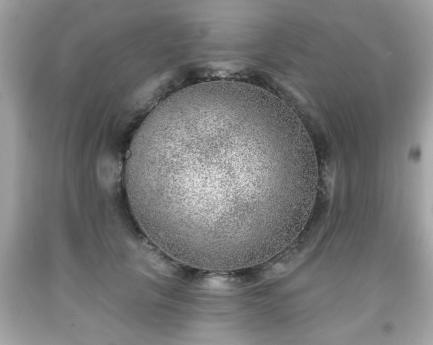 X0000091950657200709131205