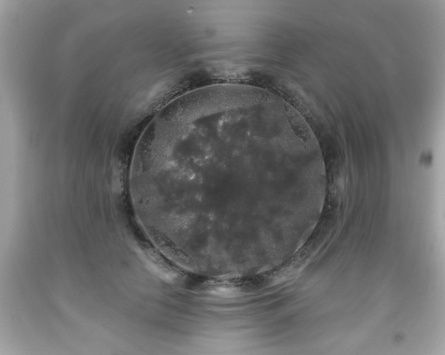 X0000091950658200709131205