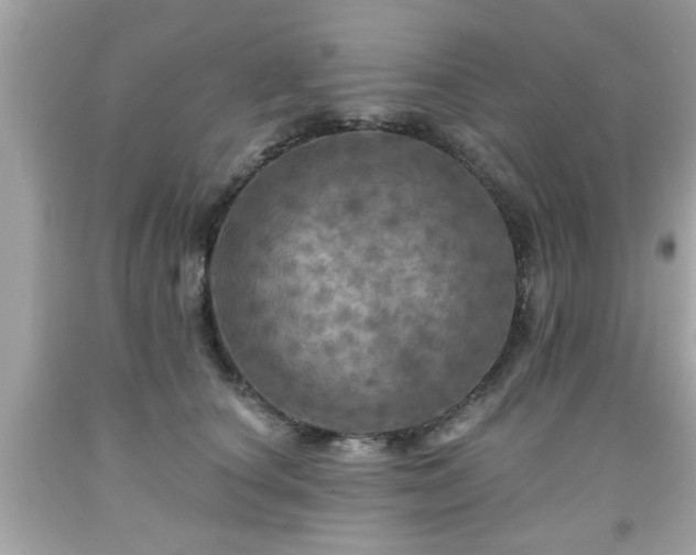 X0000091950660200709131205