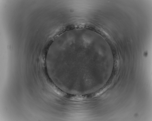 X0000091950661200709131205