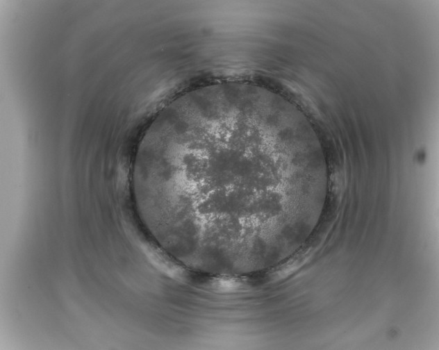 X0000091950662200709131205