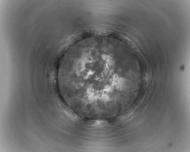 X0000091950663200709131205