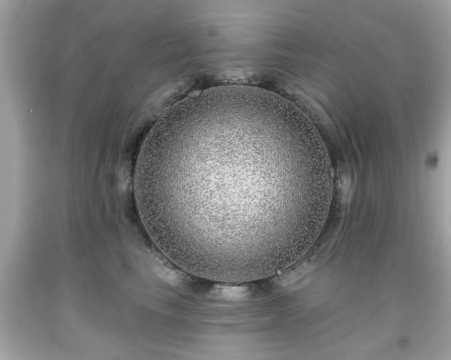 X0000091950665200709131205
