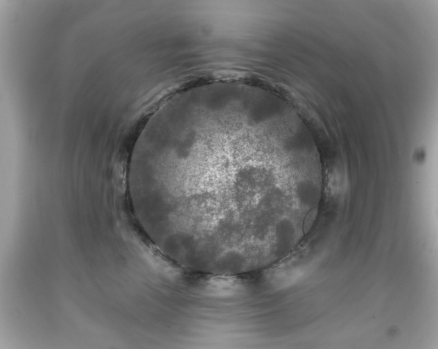 X0000091950666200709131205