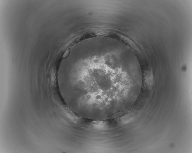 X0000091950667200709131205