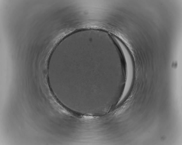 X0000091950673200709131204